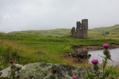 Scenic view of grassy landscape against sky