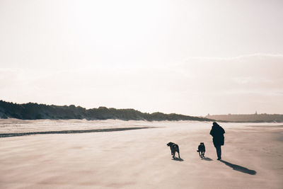 Full length of person walking with dogs at beach against sky