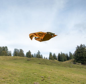 View of kite flying over grassy field against sky