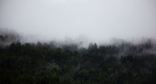 Scenic view of trees against sky during foggy weather