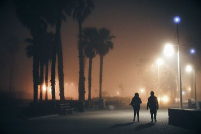 Silhouette people walking on illuminated street at night