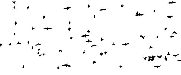 Low angle view of birds flying in sky