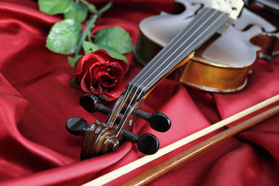 High angle view of red roses