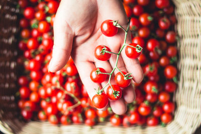 Cropped hand holding cherry tomatoes over wicker basket