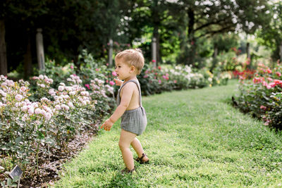 Toddler boy looking at colorful flowers outside in garden