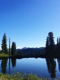 Scenic view of lake against clear blue sky