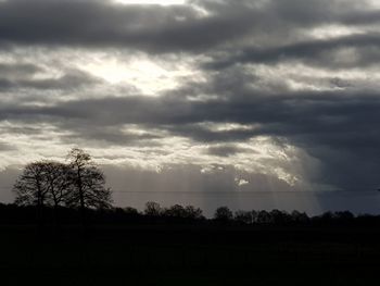 Silhouette trees on field against sky at sunset