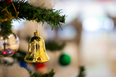 Close-up of christmas tree