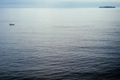 Birds flying over sea against sky