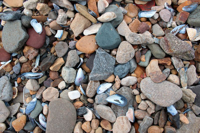 Full frame shot of pebbles