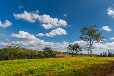 Scenic view of landscape against cloudy sky