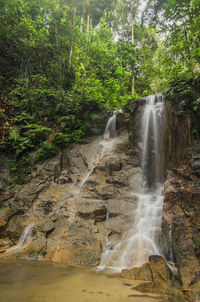 View of waterfall in forest