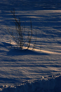 Scenic view of snow covered landscape during sunset