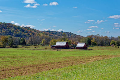 landscape