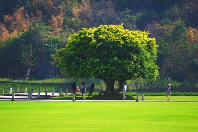 People in park