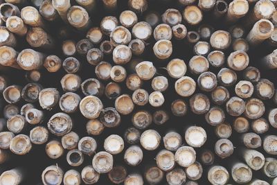 Full frame shot of logs in forest