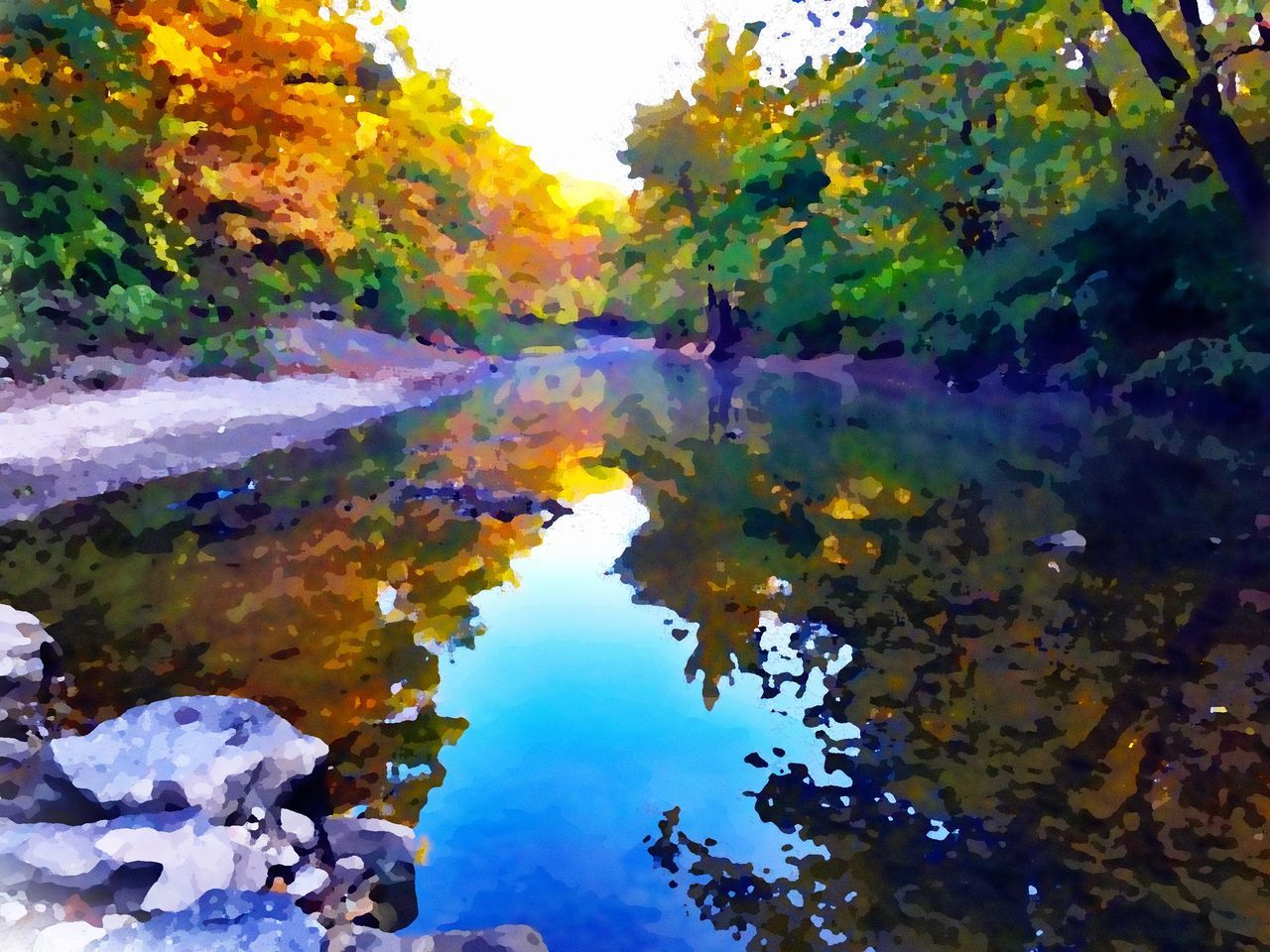 water, tree, tranquility, reflection, autumn, beauty in nature, tranquil scene, scenics, nature, change, lake, growth, season, river, idyllic, leaf, standing water, day, non-urban scene, stream