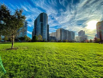 Trees and buildings in field against sky