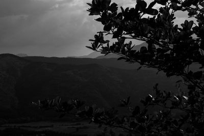 Scenic view of tree mountain against sky