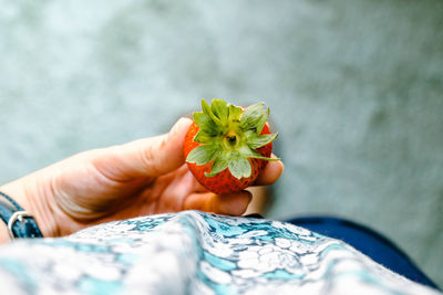 Close-up of hand holding fruit