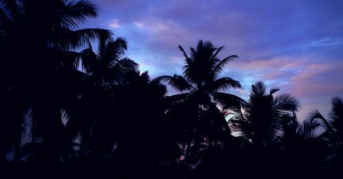 Low angle view of silhouette trees against sky