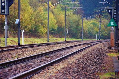 Railroad tracks by trees