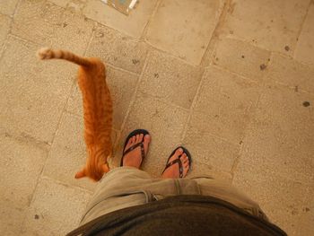 Low section of woman standing on tiled floor