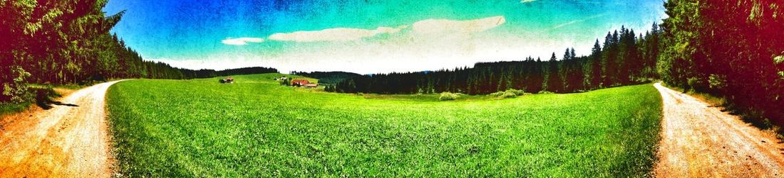 Scenic view of grassy field against sky