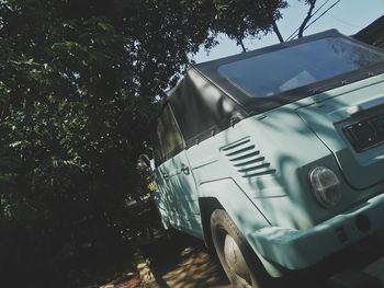 Car on road by trees in city