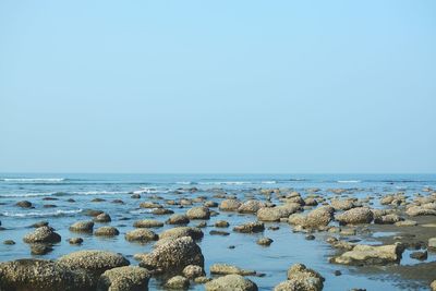 Scenic view of sea against clear sky