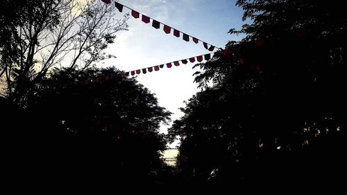 Low angle view of silhouette trees against sky