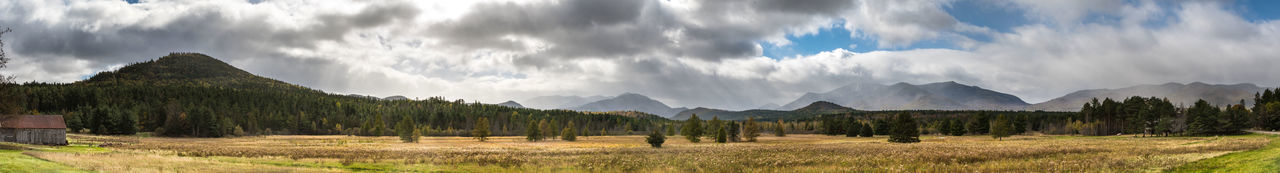 Panoramic shot of trees on field against sky