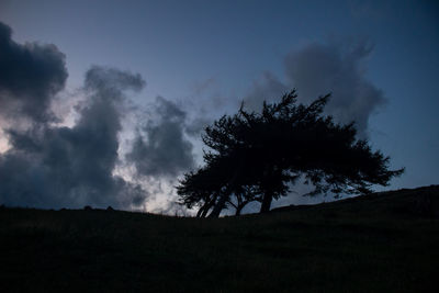 Low angle view of silhouette trees on field against sky at night