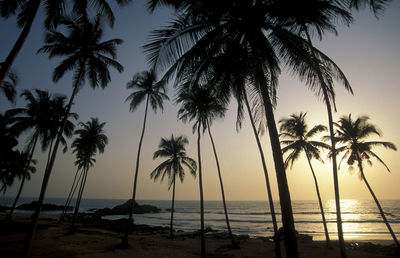 Silhouette palm trees on beach against sky during sunset