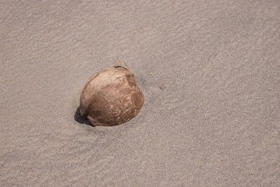 High angle view of apple on sand