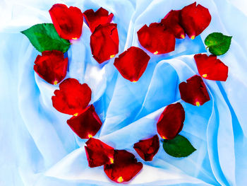 Close-up of red roses