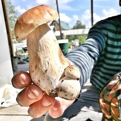 Close-up of man holding mushroom