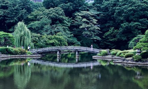 Arch bridge over lake against trees