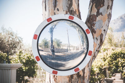 Reflection of trees in mirror against sky