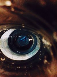 High angle view of camera on bottle