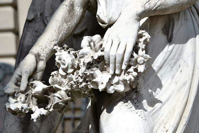 Close-up of white flowers