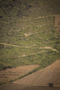 High angle view of field