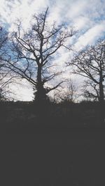 Silhouette of bare tree against sky