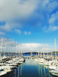 Boats moored at harbor