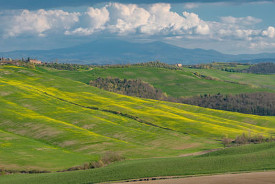 Scenic view of agricultural field against sky