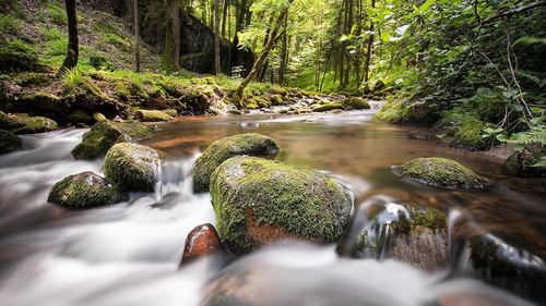 Stream flowing through rocks in forest