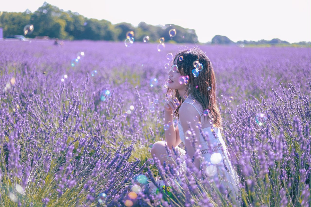 lavender, flower, flowering plant, purple, plant, field, beauty in nature, nature, freshness, women, land, one person, adult, landscape, growth, meadow, rural scene, agriculture, aromatherapy, environment, young adult, therapy, sky, female, fragility, summer, tranquility, wildflower, outdoors, lifestyles, farm, idyllic, tranquil scene, relaxation, scented, day, selective focus, sunlight, springtime, blossom, hairstyle, scenics - nature, three quarter length, clothing, technology