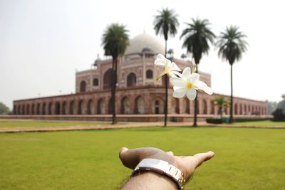 Cropped hand of man catching flowers against monumental building