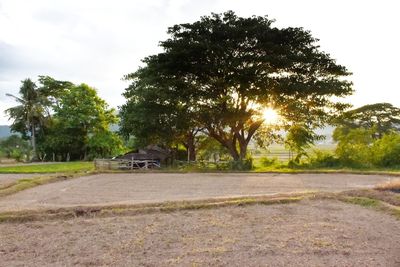 Road amidst trees on field against sky