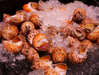 Close-up of seafood